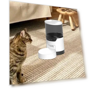 Automatic Pet Feeder with Timer — Automatic Feeders, Pet Doggy