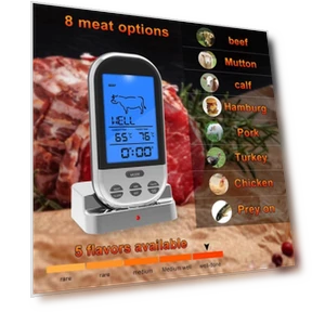 BBQ Thermometer with Timer Alarm — Grill Thermometers, Hongpei