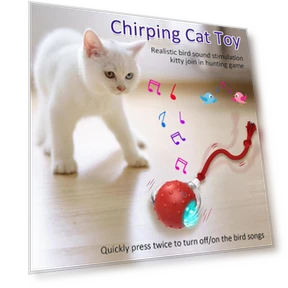 Interactive Cat Toy Ball — Cat Playthings, JOHO - CarGear