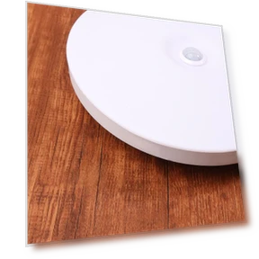 Motion Sensor LED Ceiling Light — Overhead Lighting, Mingusta