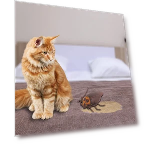 Smart Sensing Animal Simulation Interactive Toy — Interactive Animal Companions, Sewing