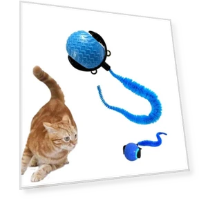 Automatic Training Ball — Cat Playthings, SHshuaizhen