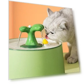 Automatic Water Fountain for Pets — Fountains, Pet park