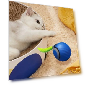 Interactive Cat Toy Ball — Cat Playthings, Pet park