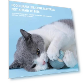 Interactive Smart Toy for Cats — Cat Playthings, Pet park