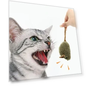 Squeaky Plush Mice for Cats — Mice & Animals, Pet park