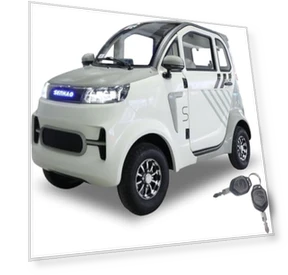 Fully Enclosed Mobility Scooter — Electric Self-Balancing Scooters, Ndrfhaj