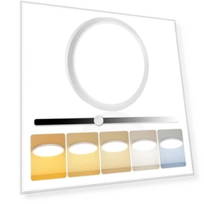 LED Flush Mount Ceiling Light — Overhead Lighting, EOSMILE