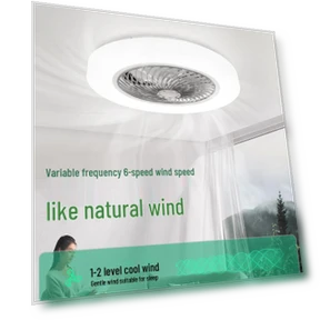 Modern Minimalist Smart Ceiling Fan with Lighting — Ceiling Fan Lighting Solutions, ElectroCN