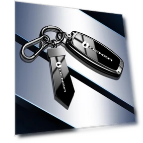 Denza Key Case — Key Holders & Accessories, Discount Domain