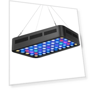 Dimmable WiFi-Controlled LED Aquarium Light — Lights, The Romantics