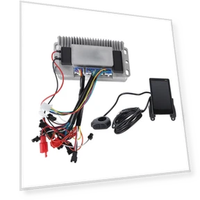Electric Bike Motor Controller Kit — Motors, ZuiyouSports1