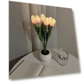 LED Night Light with Touch Control — Night Lights, Kitchen artifact