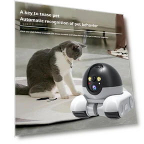 Pet Camera with Night Vision — Cameras & Monitors, Neworld Life