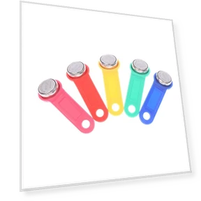 Plastic Rewritable RFID Touch Memory Key — Keyless Entry, Senescencha
