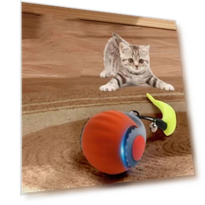 Smart Pet Electronic Ball — Interactive Animal Companions, Shenhu Win