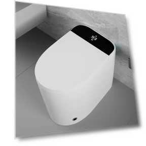 Smart Toilet with Heated Seat and Bidet — Bathroom Essentials, WinZo