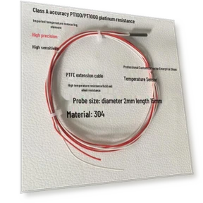 Ultra-Small Platinum RTD Temperature Sensor — Temperature Measurement Tools, Discount Domain