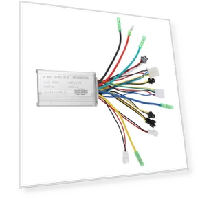Brushless Motor Controller with LCD Display Panel — Motors, ZuiyouSports1