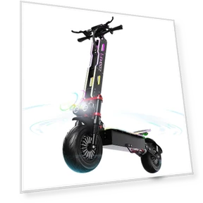 Electric Scooter — Electric Self-Balancing Scooters, FENGQS