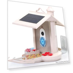 Smart Bird Feeder Camera — Outdoor & Wildlife Cameras, TOMTOP JMS