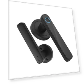 Smart Door Lock with Fingerprint — Biometric Security, TOMTOP JMS