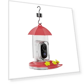 Smart Hummingbird Feeder with Camera — Backyard Birding, TOMTOP JMS