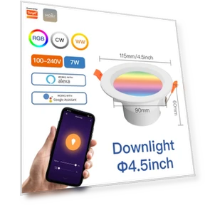 Smart LED Ceiling Light — Overhead Lighting, Cosy Homes