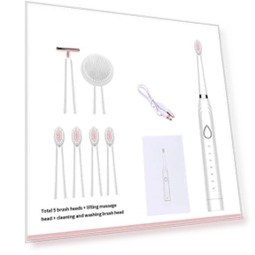Electric Toothbrush — Electric Toothbrush Heads, TOP MALL-005