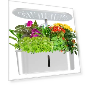 Plant Grow Light — Growing Lamps, TOMTOP JMS
