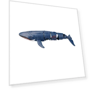 Smart Remote Control Shark — Aquatic Vehicles, Pretty life
