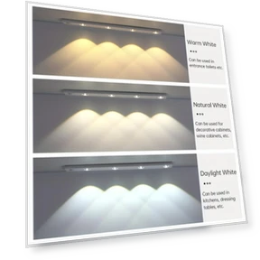 Motion Sensor LED Strip Light — LED Strips, Binchi Lighting Appliances