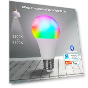 RGB LED Light Bulb — LED, Build My Home