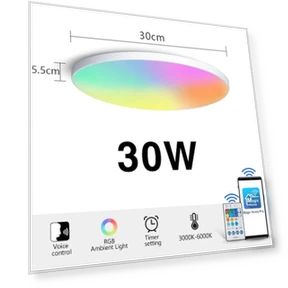 RGB Smart Ceiling Light — LED Strips, Rainbow Rain