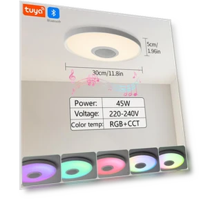 Smart Audio Ceiling Light — Overhead Lighting, Rainbow Rain