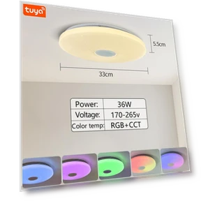 Smart Ceiling Light — Overhead Lighting, Rainbow Rain