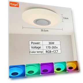 Smart LED Ceiling Light with Bluetooth Speaker — Overhead Lighting, Rainbow Rain