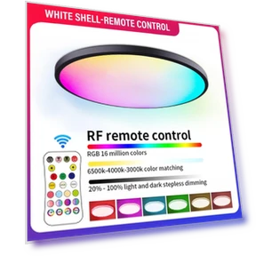 Smart LED Ceiling Light — Overhead Lighting, Build My Home