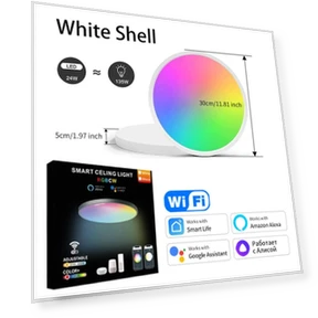 WiFi Ceiling Light RGBCW with Adjustable Brightness — Overhead Lighting, Lntelligent Living Hall