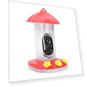 Smart AI Bird Feeder Camera — Outdoor & Wildlife Cameras, OutsideWorld