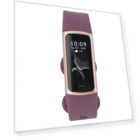Smart Bracelet — Wearable Accessories, Fishine