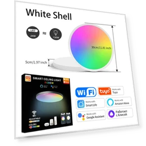 Smart WiFi Ceiling Light — Overhead Lighting, Modern Home Furnishing