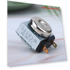 Time Delay Switch Controller — Timers, Asahi new