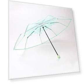 Transparent Automatic Folding Umbrella — Umbrellas, AI Market