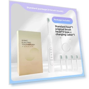 Smart Electric Toothbrush for Adults — Sonic Electric Toothbrushes, Binchi Health Technology