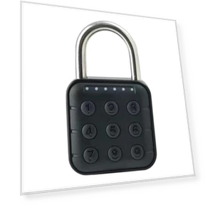 Smart Lock with Fingerprint Scanner — Smart Home Security, Xiaomi