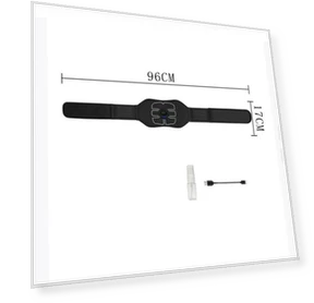 Smart Muscle Stimulator Belt — Muscle Stimulators, TrendVibeCN