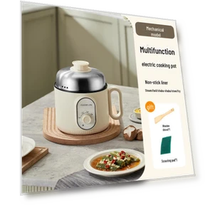 Compact Multifunctional Electric Stove — Portable Cooking Solutions, StrideBox
