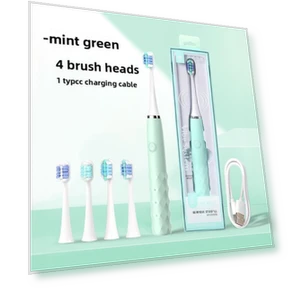 Electric Sonic Toothbrush for Adults and Couples — Chargers, Binchi Health Technology