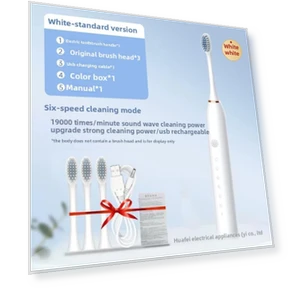Electric Toothbrush for Adults — Kids' Electric Toothbrushes, Binchi Health Technology